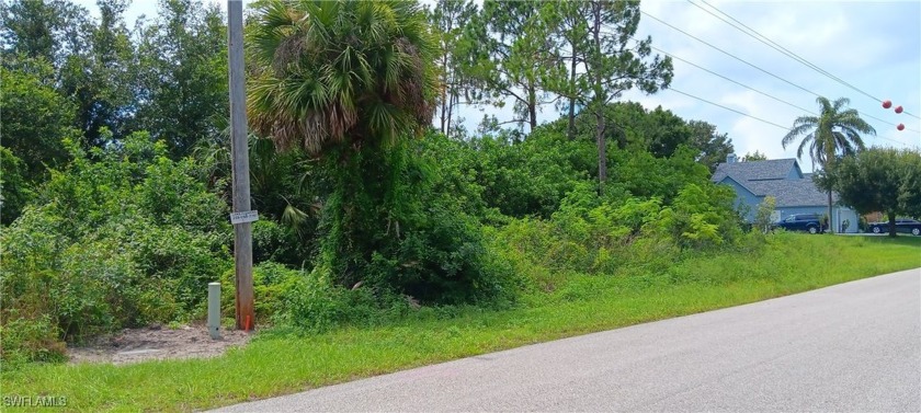 Highly desirable area of Mirror Lakes in Lehigh Acres, this - Beach Lot for sale in Lehigh Acres, Florida on Beachhouse.com