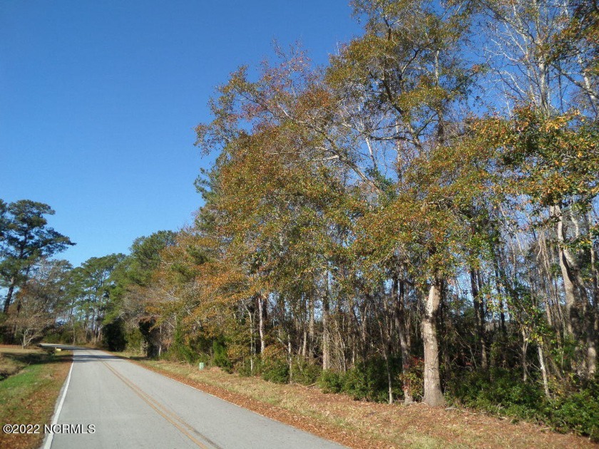 Are you looking for unrestricted land with direct creek access? - Beach Acreage for sale in Merritt, North Carolina on Beachhouse.com