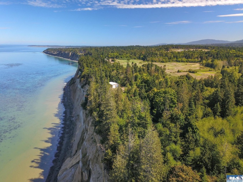 Amazing, incredibly rare find! This 36.8 acres of timber has - Beach Acreage for sale in Port Angeles, Washington on Beachhouse.com