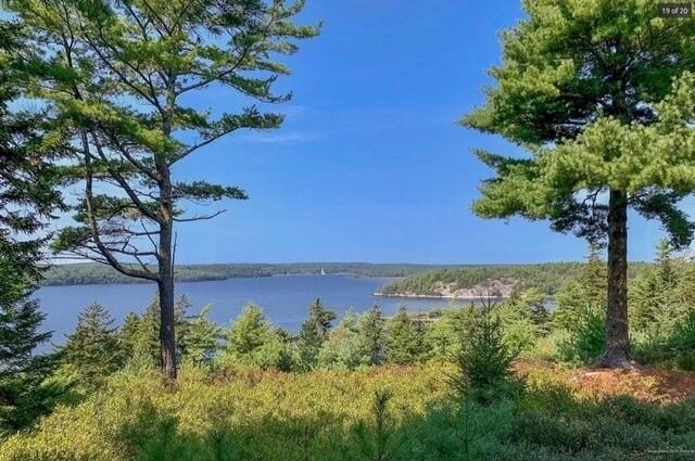 Breathtaking 4+ acre lot on the mighty Kennebec River featuring - Beach Acreage for sale in Georgetown, Maine on Beachhouse.com