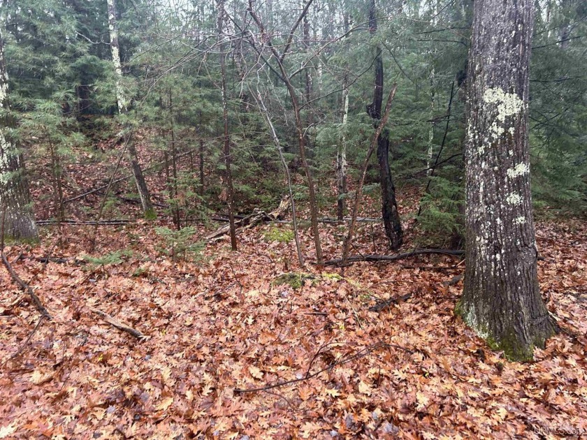 2 beautiful lots being sold together, 200 feet on the road and - Beach Lot for sale in Rapid River, Michigan on Beachhouse.com