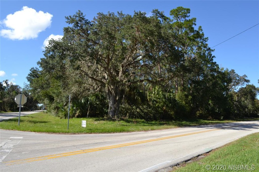 This property has rare commercial zoning and is uniquely located - Beach Acreage for sale in New Smyrna Beach, Florida on Beachhouse.com