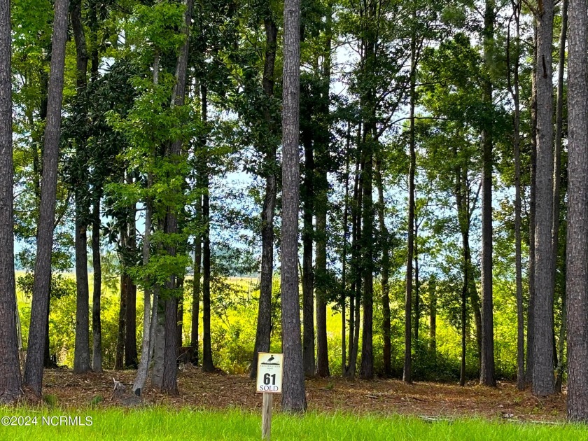 Nestled within the heart of downtown Wilmington, this - Beach Acreage for sale in Wilmington, North Carolina on Beachhouse.com