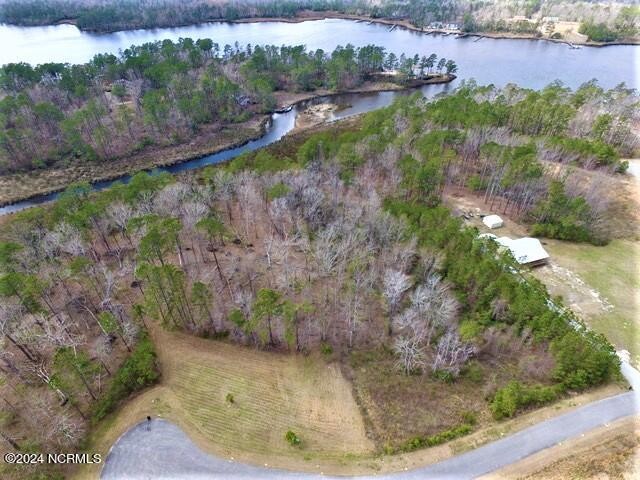 Looking for a Private Waterfront Building Lot with privacy and a - Beach Acreage for sale in Arapahoe, North Carolina on Beachhouse.com