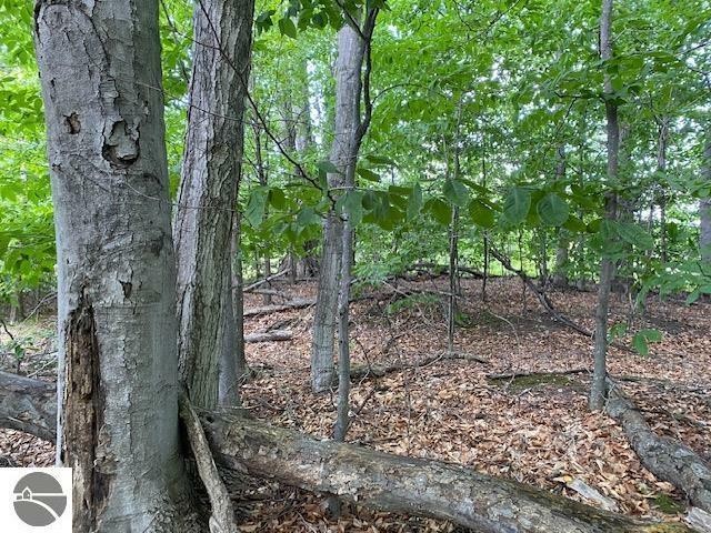 Golf Course living can be yours with this lovely wooded parcel - Beach Lot for sale in Kewadin, Michigan on Beachhouse.com
