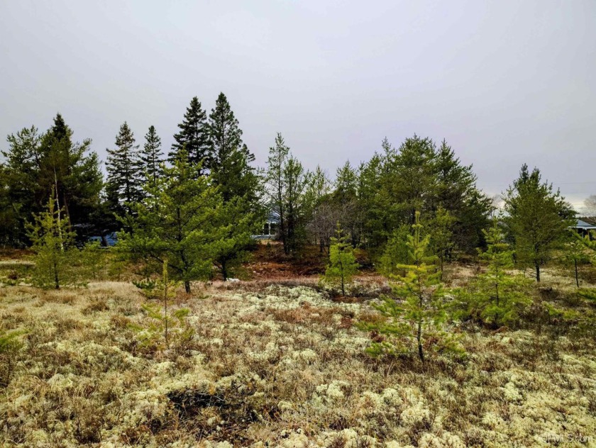 Discover the perfect spot to build your dream home on this - Beach Lot for sale in Marquette, Michigan on Beachhouse.com