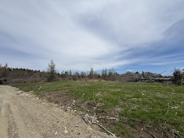 Roll in with the evening fog to the call of timberdoodles -- the - Beach Lot for sale in Whiting, Maine on Beachhouse.com