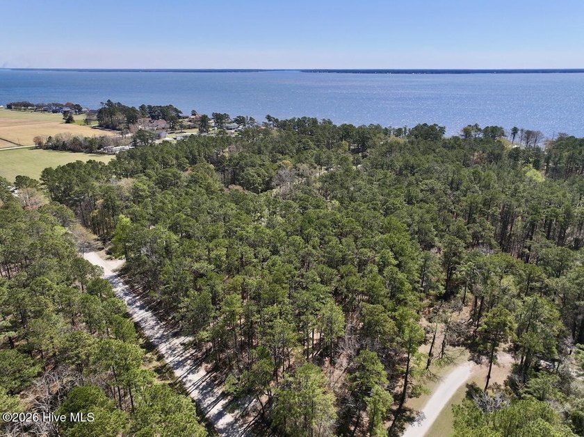 Discover a peaceful 2.16-acre wooded tract of land on Creek Road - Beach Acreage for sale in Arapahoe, North Carolina on Beachhouse.com