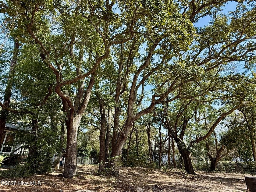 Beautiful vacant lot available on a quiet dead end street on Oak - Beach Lot for sale in Oak Island, North Carolina on Beachhouse.com