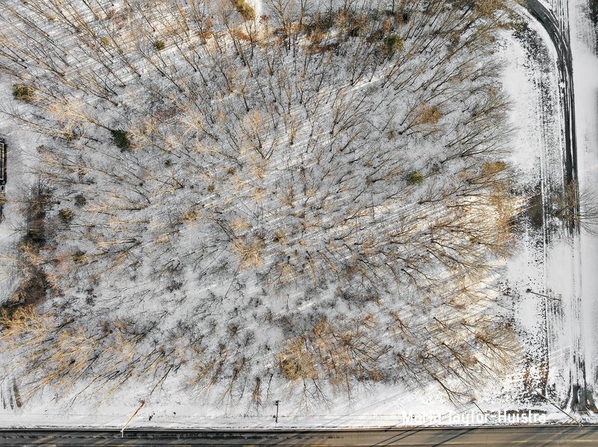 Your opportunity to build in sought-after Robinson Township! - Beach Acreage for sale in Grand Haven, Michigan on Beachhouse.com