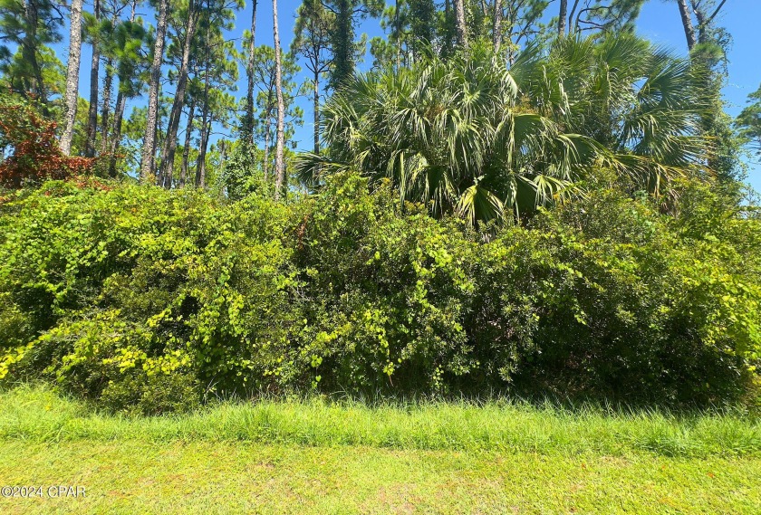 Discover your own piece of paradise with this fantastic bay - Beach Lot for sale in Port St Joe, Florida on Beachhouse.com