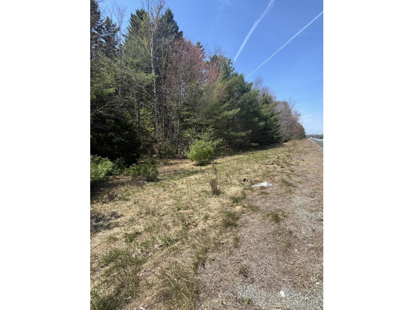 13.9 acre lot with great frontage on Acadia Highway. This is a - Beach Acreage for sale in Orland, Maine on Beachhouse.com
