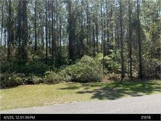 Gorgeous half acre lot with water/pond frontage settled at the - Beach Lot for sale in Saint Marys, Georgia on Beachhouse.com