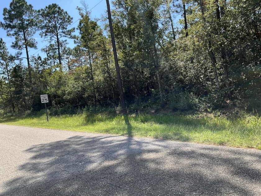 1 Block to the water!! This residential lot is in the - Beach Lot for sale in Milton, Florida on Beachhouse.com