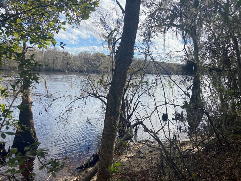 Gorgeous SUWANNEE RIVERFRONT property!! Must See!! One lot from - Beach Lot for sale in Old Town, Florida on Beachhouse.com