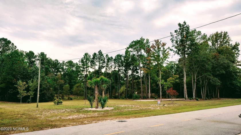 Price Change! Cool crisp mornings, look beautiful in these new - Beach Lot for sale in New Bern, North Carolina on Beachhouse.com