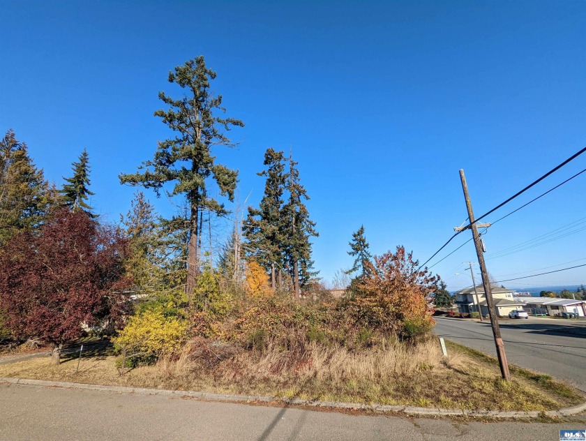 Investment opportunity available at the corner lot of 15th and C - Beach Lot for sale in Port Angeles, Washington on Beachhouse.com