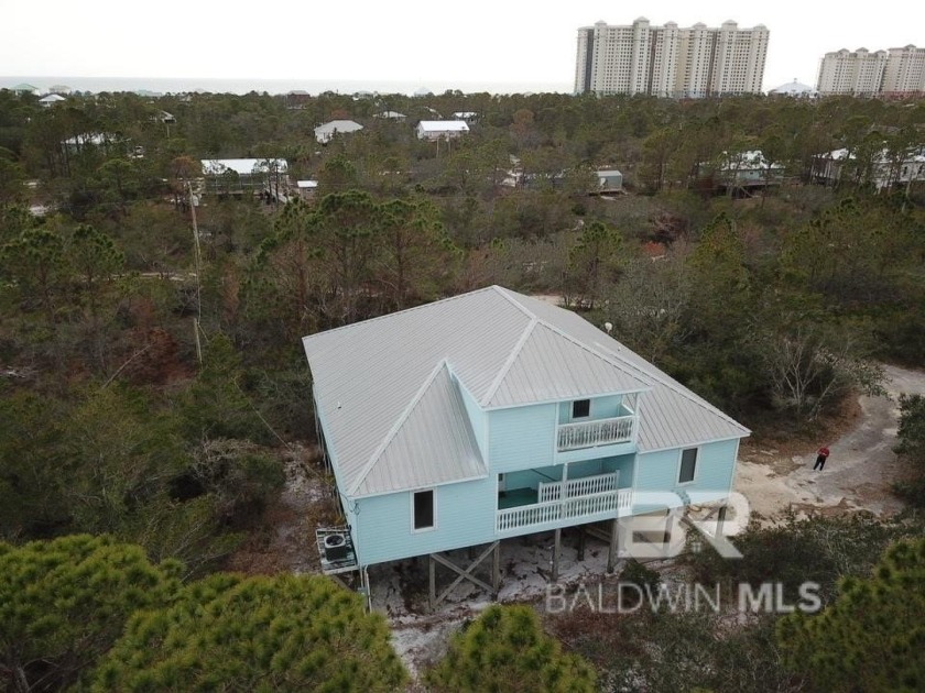 ROOM TO GROW, MITIGATION PURPOSE OR DEVELOPMENT POTENTIAL - Beach Home for sale in Gulf Shores, Alabama on Beachhouse.com