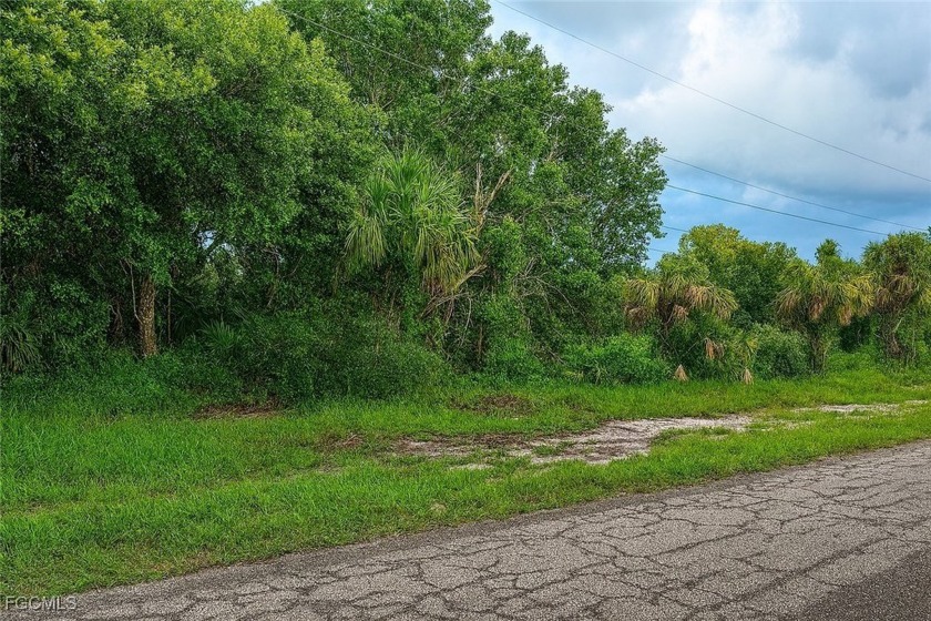 Discover the perfect slice of Southwest Florida, in Lehigh Acres - Beach Lot for sale in Lehigh Acres, Florida on Beachhouse.com