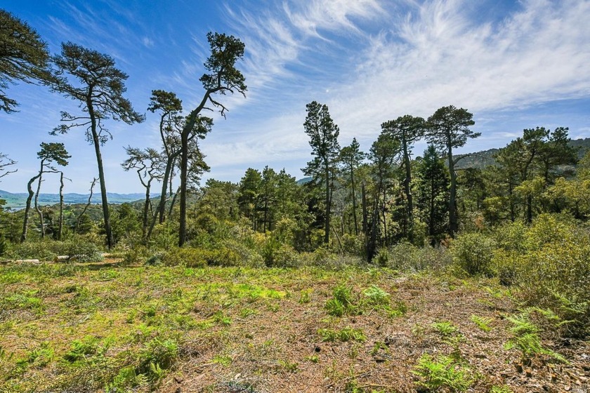 Sundrenched and desirable Seahaven 3.89+/- acre lot is an - Beach Acreage for sale in Inverness, California on Beachhouse.com