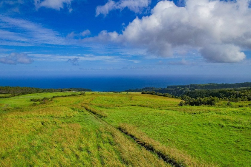 One of the largest land areas available in the State of Hawaii - Beach Acreage for sale in Papaaloa, Hawaii on Beachhouse.com