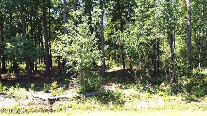 Build your dream home or vacation getaway!! A 0.49-acre lot in - Beach Lot for sale in Southport, North Carolina on Beachhouse.com