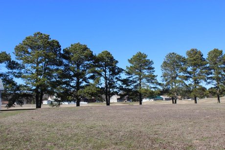 2/271 Oversized (12,992 sq ft), cleared Lot on Golf Course at - Beach Lot for sale in Greenbackville, Virginia on Beachhouse.com