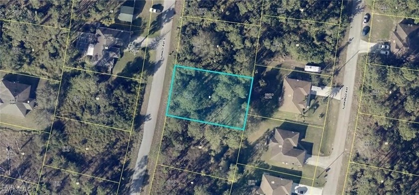 invest your money in a highly desirable, fast-growing location - Beach Lot for sale in Lehigh Acres, Florida on Beachhouse.com