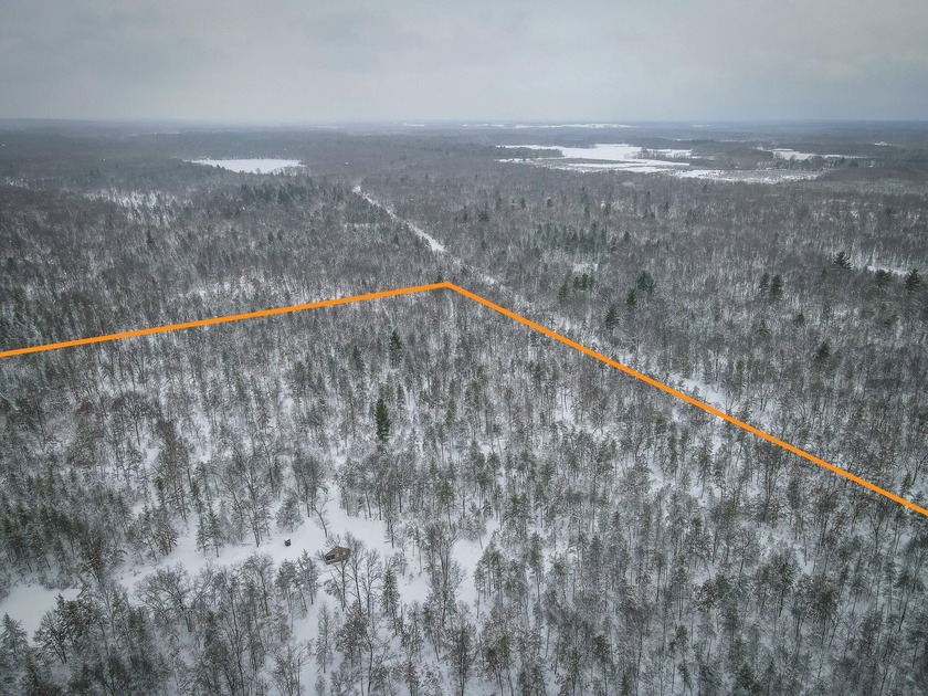 Exceptional 80+/- acre recreational and hunting parcel located - Beach Acreage for sale in Free Soil, Michigan on Beachhouse.com