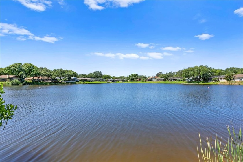 Beautifully updated lakefront home in the Riviera Bay - Beach Home for sale in St. Petersburg, Florida on Beachhouse.com