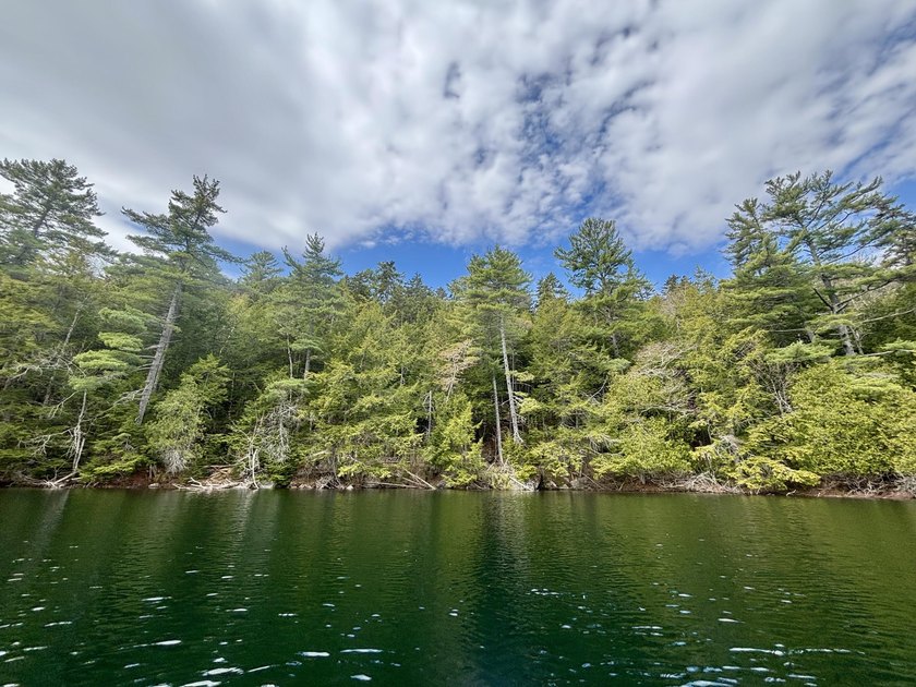Waterfront lot on Heart Pond with approximately 228' of frontage - Beach Lot for sale in Orland, Maine on Beachhouse.com