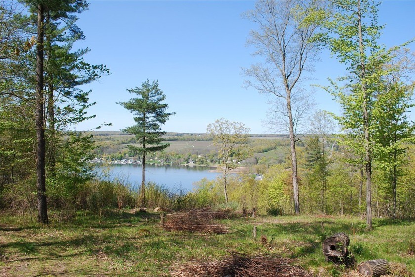 Spectacular Keuka Lake view is available from this lot with over - Beach Acreage for sale in Jerusalem, New York on Beachhouse.com