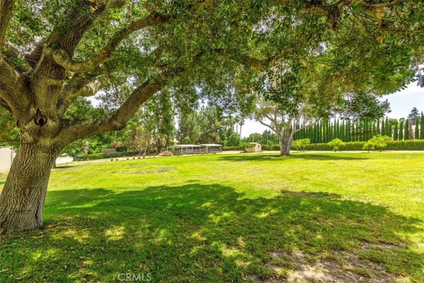 Equestrian Paradise in San Juan Capistrano

Discover a - Beach Home for sale in San Juan Capistrano, California on Beachhouse.com