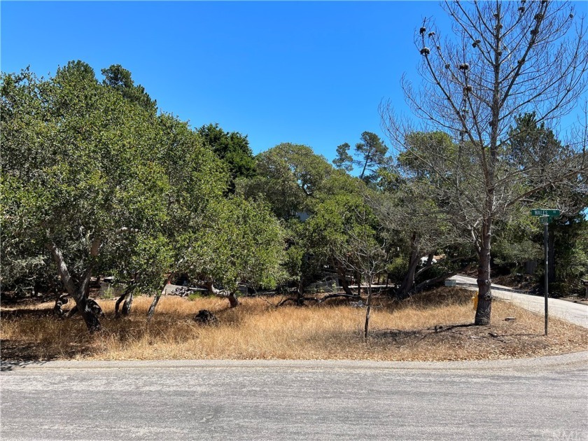 PRICE REDUCTION!!! Come see this Beautiful Corner Lot in great - Beach Lot for sale in Cambria, California on Beachhouse.com