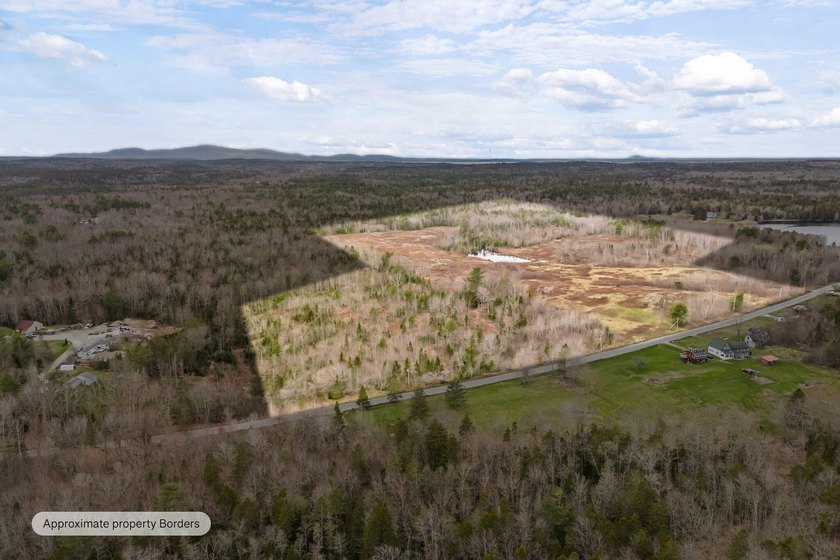 Set on 32 acres of harvestable blueberries with a scenic pond - Beach Acreage for sale in Gouldsboro, Maine on Beachhouse.com