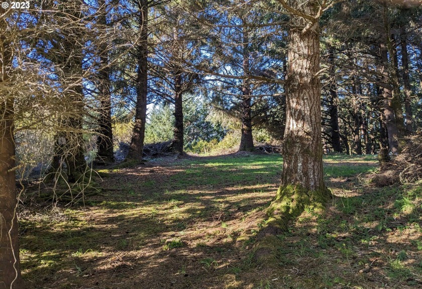 COZY SPOT nestled midst spruce trees and a peek of the ocean. An - Beach Lot for sale in Gold Beach, Oregon on Beachhouse.com