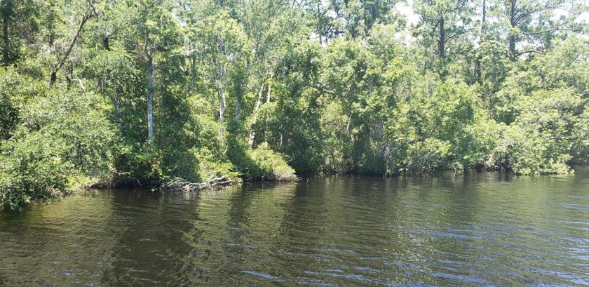 Tract of 8.82 acres across the road from the Crooked River with - Beach Acreage for sale in Carabelle, Florida on Beachhouse.com