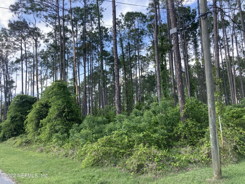 This Fresh Water Canal Frontage lot is ready for your dream home - Beach Lot for sale in Palm Coast, Florida on Beachhouse.com