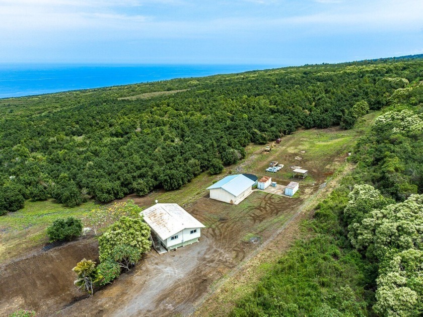 Beautiful and Rare 58 Acre propety. Fertile volcanic soil, rain - Beach Home for sale in Captain Cook, Hawaii on Beachhouse.com