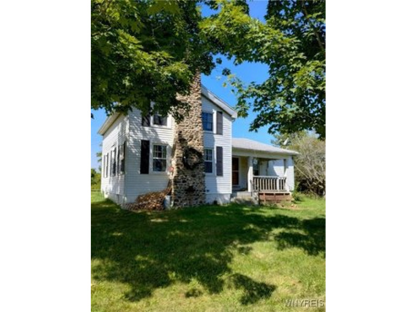 Charming, 4 bedroom farm house with first floor primary bedroom - Beach Home for sale in Wilson, New York on Beachhouse.com