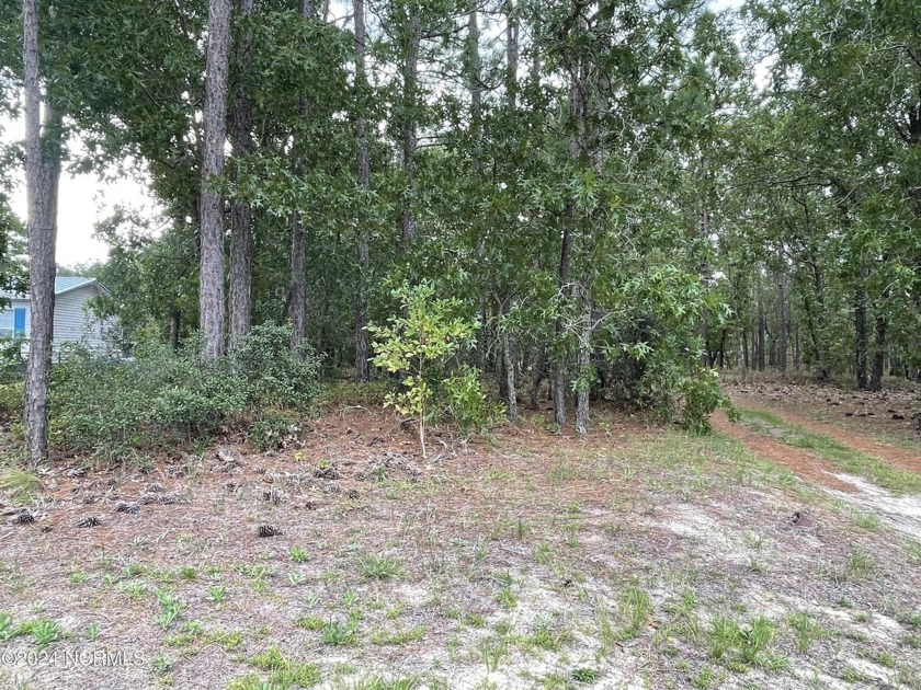 Looking for a property with no HOA and close to the beach?  This - Beach Lot for sale in Supply, North Carolina on Beachhouse.com