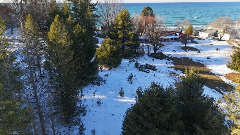 Looking for an affordable spot to enjoy Lake Michigan and the - Beach Lot for sale in Manistee, Michigan on Beachhouse.com
