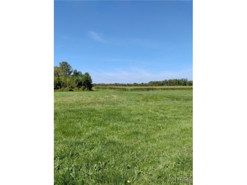 45 acres of land located at Wilson Cambria Rd and Braley Rd - Beach Acreage for sale in Wilson, New York on Beachhouse.com