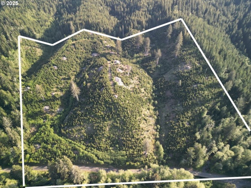 41 acres of timber/recreation property.  Watch your investment - Beach Acreage for sale in Seaside, Oregon on Beachhouse.com