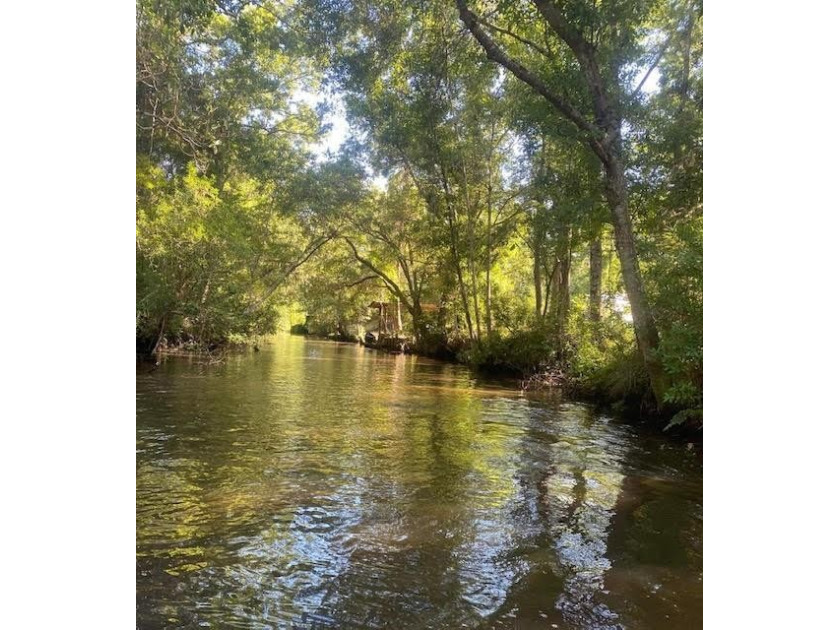 Welcome to Beautiful Fowl River, Al. Where the fish are - Beach Lot for sale in Theodore, Alabama on Beachhouse.com