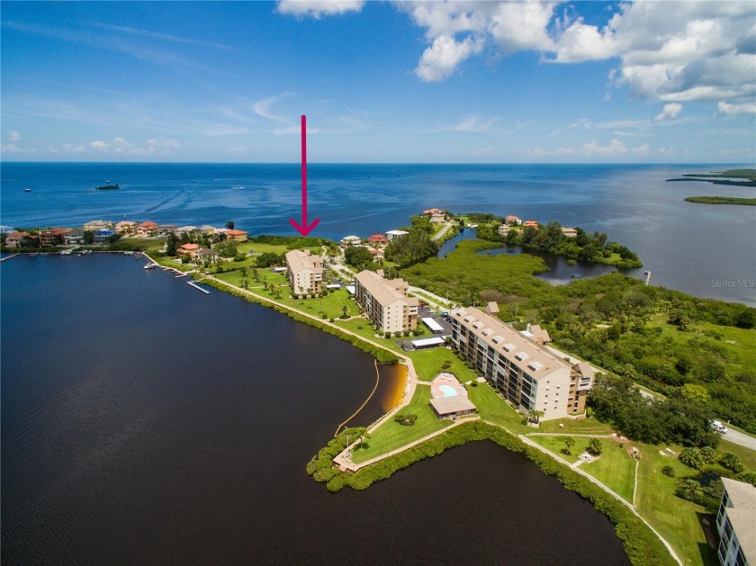 PENTHOUSE with DIRECT GULF OF MEXICO FRONTAGE. Gorgeously - Beach Condo for sale in Port Richey, Florida on Beachhouse.com
