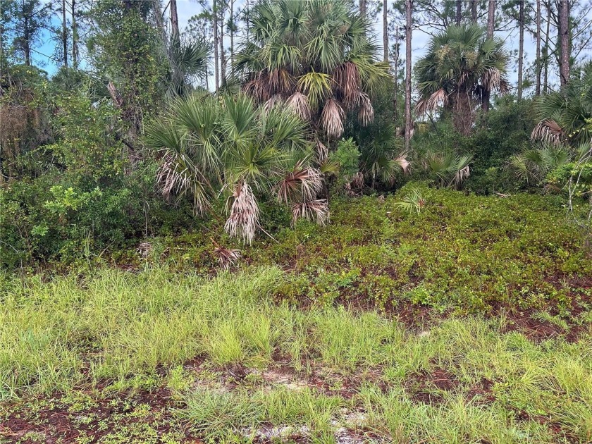 Discover this prime oversized lot in the heart of North Port - Beach Lot for sale in North Port, Florida on Beachhouse.com