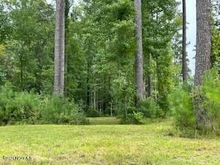 Stunning .35 acre wooded Cul-de-Sac lot in Carolina Colours! - Beach Lot for sale in New Bern, North Carolina on Beachhouse.com