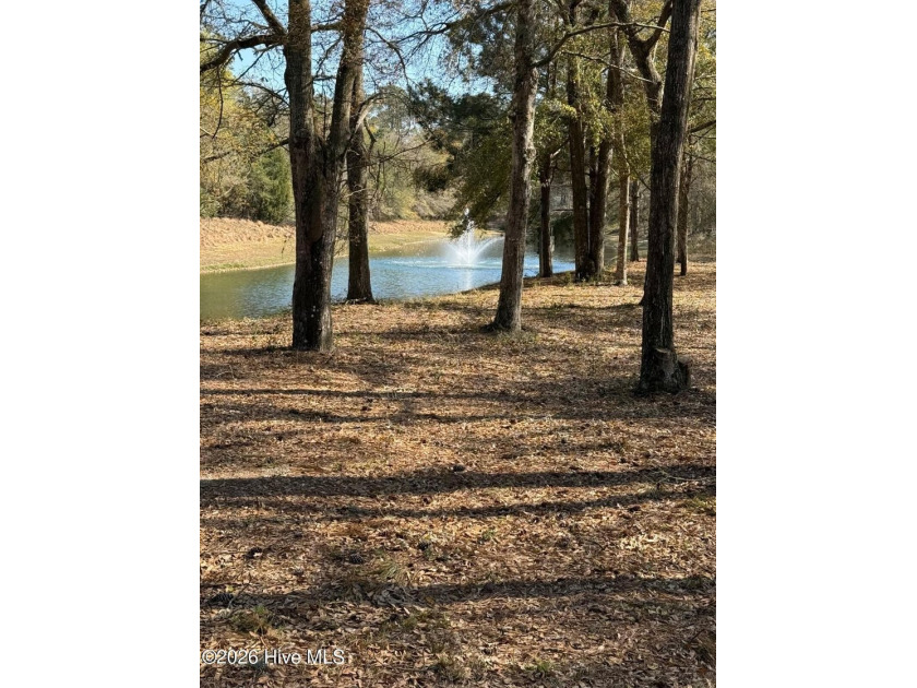 This homesite in Oyster Harbour is basically a dream waiting to - Beach Lot for sale in Supply, North Carolina on Beachhouse.com