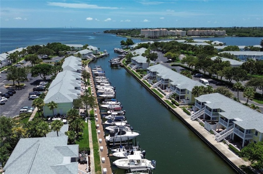 WATERFRONT, TROPICAL RESORT STYLE LIVING IN ST PETERSBURG, FL | - Beach Condo for sale in St. Petersburg, Florida on Beachhouse.com